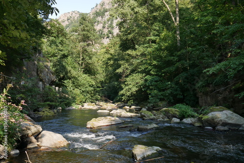 Fluss Bode im Bodetal im Harz