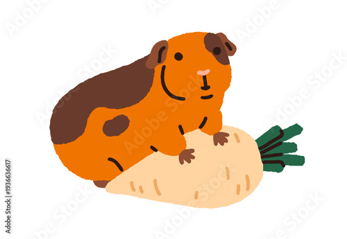 Cute funny cavy. Kawaii little guinea pig with vegetable food. Small rodent animal eating feed. Adorable lovely charming hamster pet. Flat vector illustration isolated on white background