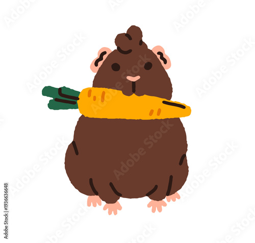 Cute funny guinea pig carrying carrot. Kawaii adorable tame cavy holding vegetable in teeth. Little animal with feed. Rodent with food. Flat vector illustration isolated on white background