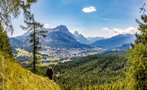Foto Vallata di Cortina d'Ampezzo con albero in primo piano