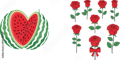 Watermelon heart illustration and red rose flower collection vector set romantic fruit and floral design elements