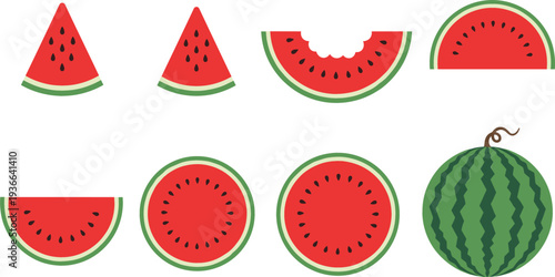 Watermelon slices and whole fruit vector set fresh summer tropical food illustration collection isolated