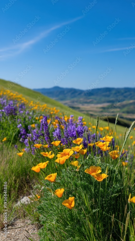 Fototapeta premium Lush Hilltop Framing Wildflowers under Clear Blue Sky on Scenic Landscape