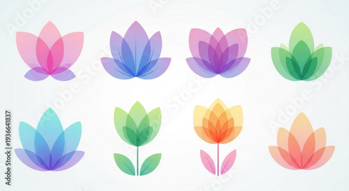 Vibrant lotus flowers in various colors and styles on white background floral illustrations