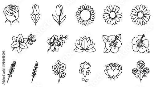 Collection of simple black and white line drawings of various flowers and plants for decorative and design purposes in graphic design and digital media.