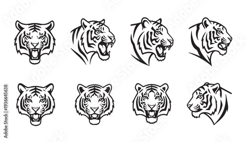 Tiger Head Illustrations Collection Roaring and Profile Views Vector Art Style