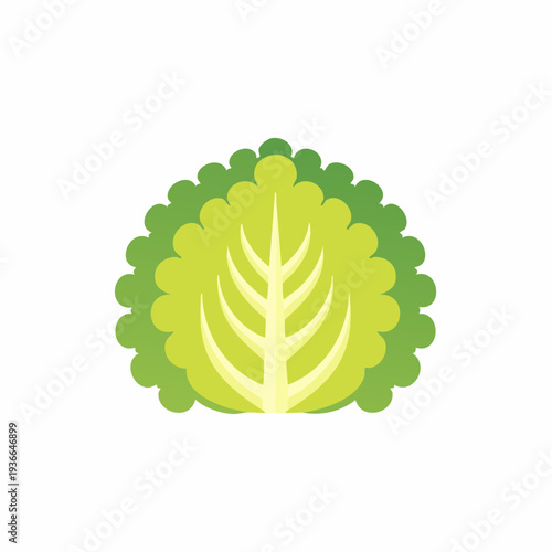 Cartoon-style illustration of a stylized green cabbage, showing internal leaf structure.
