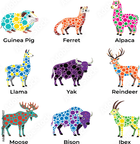 Wild and Domestic Ruminant Collection:Flat Line Art of guinea pig, ferret, alpaca, llama, yak, reindeer, moose, bison, antelope, ibex and Icons.