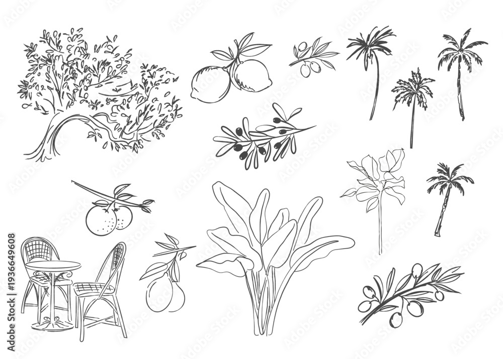 Fototapeta premium Mediterranean Plants and Cafe Elements Set – Olive Branch, Lemon, Palm Tree Line Art Illustration for Wedding, Save the Date Card Template