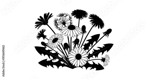 Black and white illustration of several dandelion and daisy flowers
