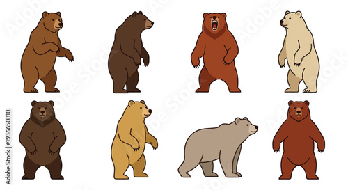 Collection of cartoon bears in various colors and poses displayed together