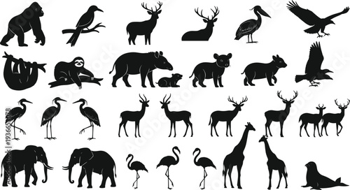 Wildlife silhouettes collection featuring gorilla, birds, deer, sloth, tapir, bear, giraffe, elephant, seal, diverse animal vector illustration design