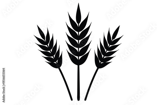 Wheat, Cereal Grain Icon