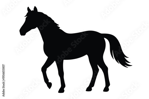 Horse, Equine Animal Silhouette