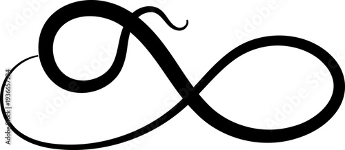 Curly Ornaments, Swirl line divider, Curly decorative doodle, fancy ornament border