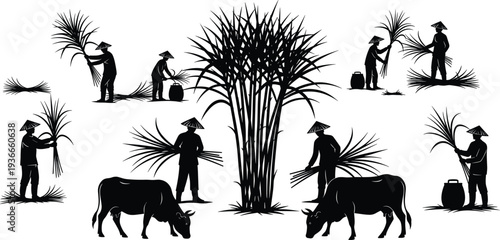 Rice farming silhouettes farmers harvesting paddy field with cattle traditional agriculture rural life vector illustration black isolated design for cultural scene