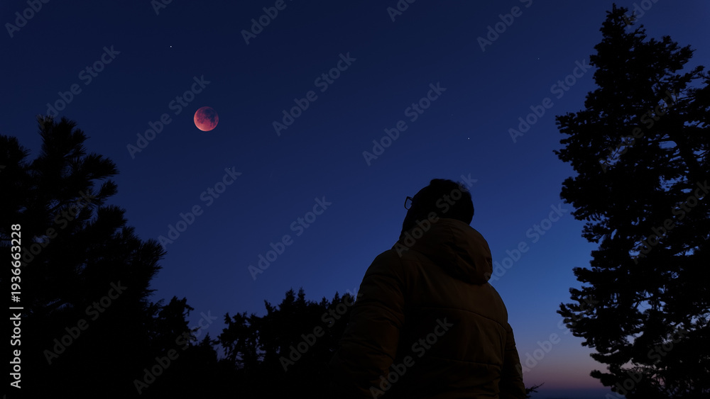 Fototapeta premium Amateur astronomer observing stars, planets, Moon and other celestial objects.