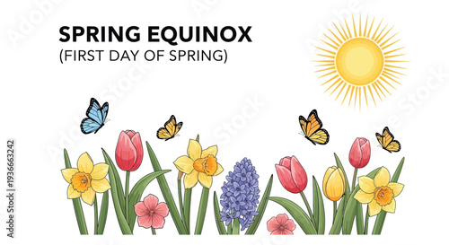 Spring equinox vector illustration featuring flowers and butterflies celebrating the first day of spring with sunshine