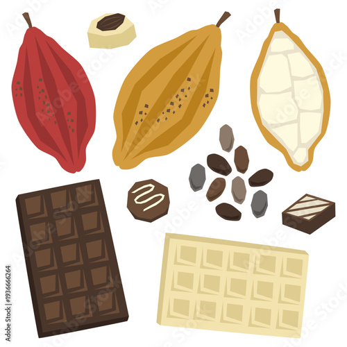 リノカット風 カカオの実 カカオ豆 カカオの断面 加工品のチョコレートなどのベクターイラストセット