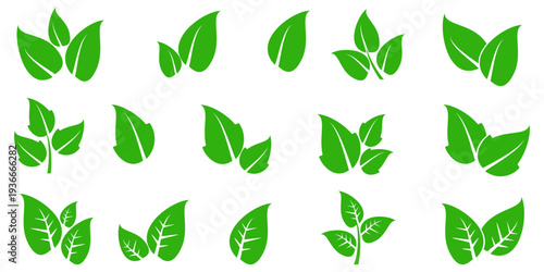 Leaf vector symbol, leaf illustration or leaf emoji in flat style. Spring leaf design, ecological nature theme.