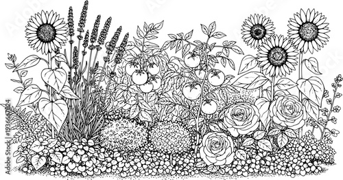 Detailed botanical drawing of a flourishing garden with sunflowers, lavender, tomatoes, roses, and various plants