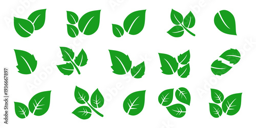 Leaf vector symbol, leaf illustration or leaf emoji in flat style. Spring leaf design, ecological nature theme.