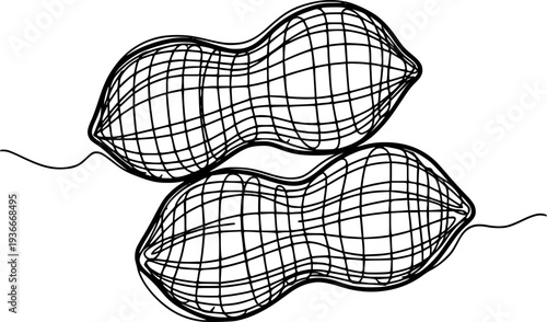 Elegant continuous line drawing of peanuts with an abstract grid shell