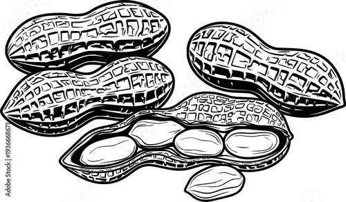 Four peanut pods with peanuts 