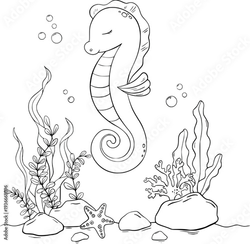 Underwater Animals. Coloring of seahorse, shells, algae, corals and bubbles. Underwater animal outline painted in black and white for kids design, poster, baby shower, newborn cards. Hand drawn