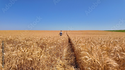 Fényképezés Man touching fresh wheat on the farm.