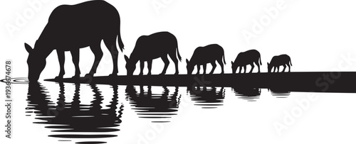Group of buffaloes drinking water together by river bank silhouette