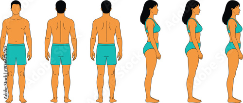 Anatomy Human Body Male Female Front Back Side View Vector Illustration Template Medical Fitness