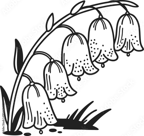 Bell shaped flowers drooping on curved stem with leaves and grass in black ink sketch
