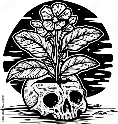 Human skull with blooming flower growing from it, surreal nature and life after death concept illustration