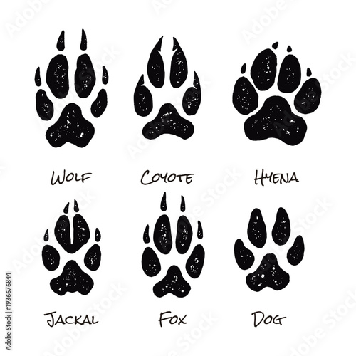 Wild Canine Animal Paw Prints Set – Wolf, Coyote, Hyena, Jackal, Fox and Dog Footprint Silhouette Illustration