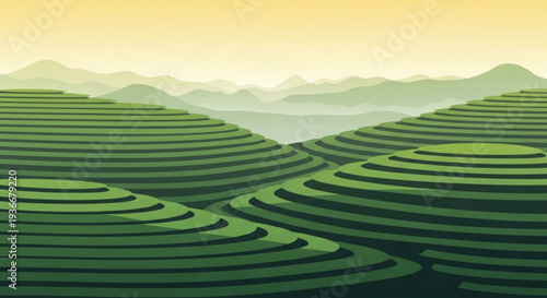 Serene green tea plantation landscape with rolling hills and mountains at sunrise or sunset agriculture and nature concept