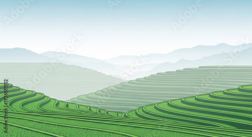 Lush green tea plantation on rolling hills with misty mountains in the background under a clear blue sky