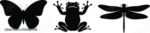 Black silhouettes of butterfly frog and dragonfly