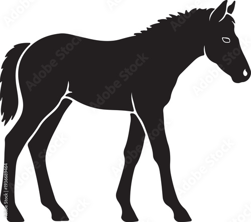 Foal Silhouette Icon – Standing Young Horse Vector