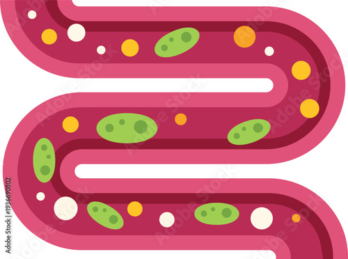 Human intestine illustrating bacteria and various microbes for digestion and health concepts