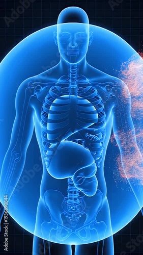 Abstract visualization of human internal organs and circulatory system with glowing red particles on a dark grid background representing energy flow and biological processes