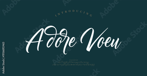Adore Voeu, Hand drawn vector alphabet. Modern monoline signature script font. Elegant Signature Font. Best Alphabet Beautiful Calligraphy Signature Font
