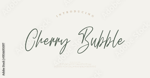 Cherry Bubble, Abstract Script Fashion font alphabet. Minimal modern urban fonts for logo, brand etc. Typography typeface uppercase lowercase and number. vector illustration
