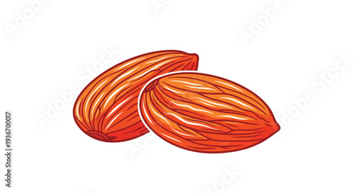 Vibrant illustration of two almonds in warm orange tones