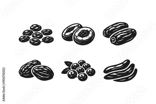 Collection of dried fruits and berries in a simple black and white illustration style