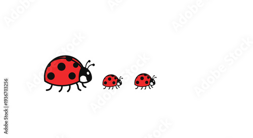 Group of three cute ladybugs including one large adult and two small babies walking in a row on a plain white background.
