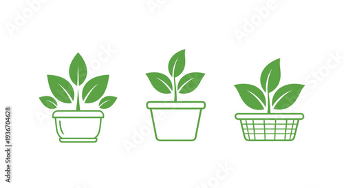 Set of three stylized green plants growing in different pots including a bowl, a traditional pot, and a woven basket on a white background.