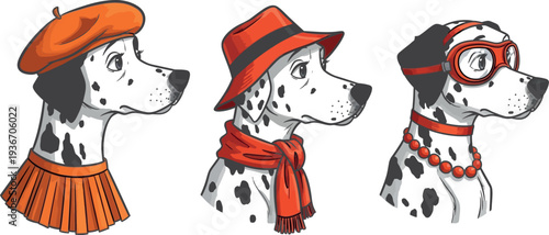 Three dalmatian dogs wearing different outfits isolated on transparent background
