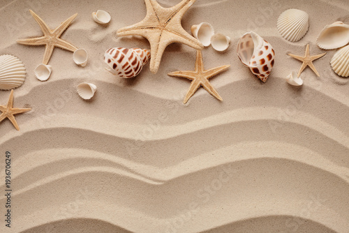 summer background with seashells on the sand