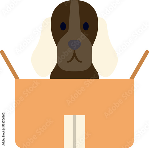 Cute dog peeking from inside an open carton box, simple flat illustration